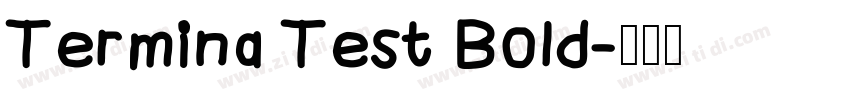 Termina Test Bold字体转换